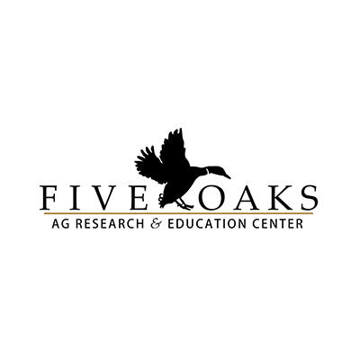 Five Oaks Five Oaks